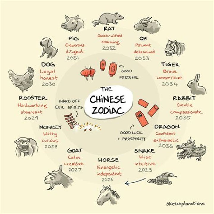 1974 Chinese Astrology: Discover Your Zodiac Sign, Traits, and Predictions