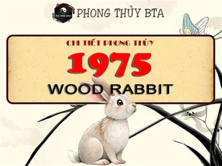 1974 Zodiac Year: A Comprehensive Guide to the Wood Rabbit and Its Profound Influence