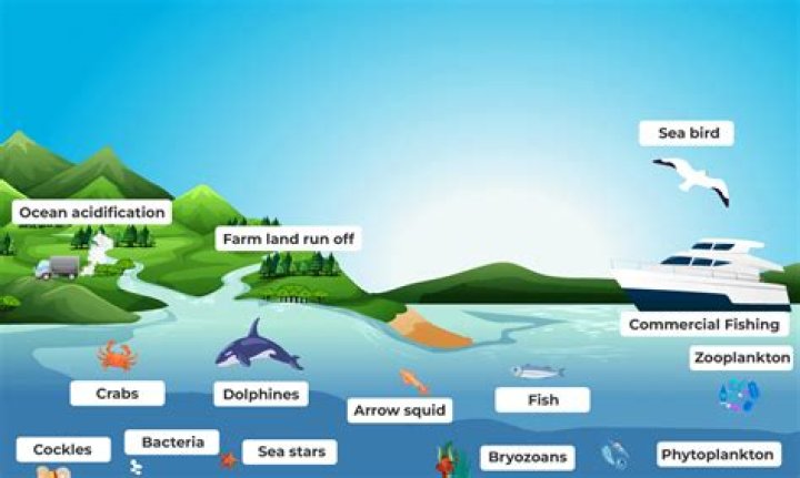 3 Factors of Aquatic Biomes: Understanding the Key Elements Shaping Marine and Freshwater Ecosystems