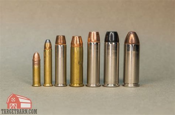 .950 Caliber: The Ultimate Guide to Understanding the World's Largest Revolver Cartridge