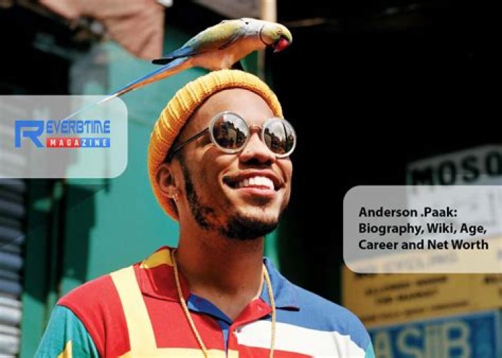 Anderson .Paak Age: A Comprehensive Exploration of His Life and Career