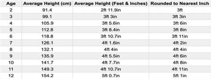 Average Height of American Female: A Comprehensive Guide