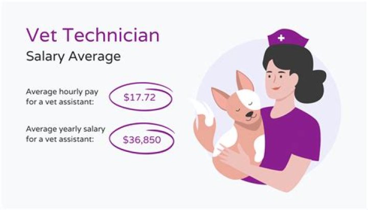 Average Vet Tech Salary: A Comprehensive Guide for Aspiring Veterinary Technicians