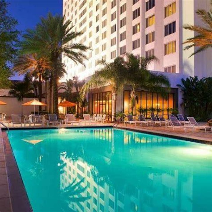 Bayfront Hilton Petersburg: A Premier Destination for Luxury and Comfort
