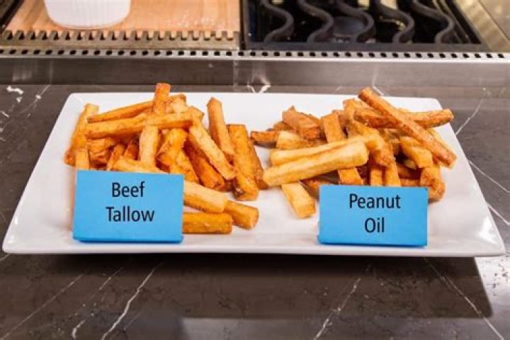 Best Oil for Deep Frying French Fries: A Comprehensive Guide to Perfect Crispy Results
