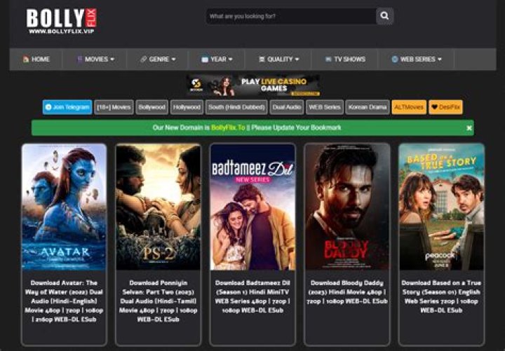 Bollyflix.ninja: Your Gateway to Free Bollywood Movies & More!