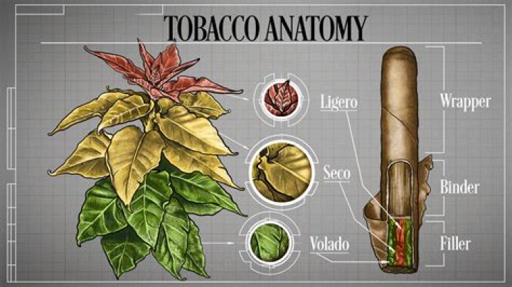 Can You Smoke at Pine Knob: A Comprehensive Guide to Smoking Policies