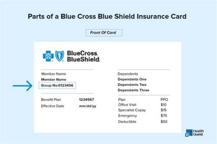 Can You Use Blue Cross Blue Shield in Any State? A Comprehensive Guide