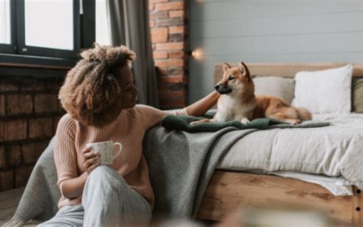 Cashewsafe for Dogs: A Comprehensive Guide to Keeping Your Furry Friend Healthy