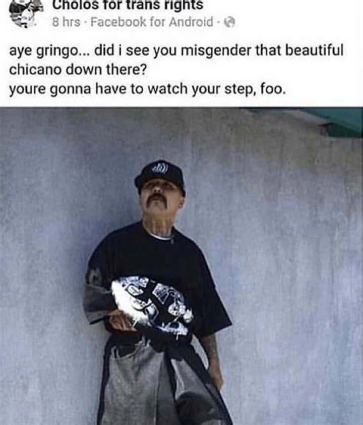 Cholos Meme: A Cultural Phenomenon Redefining Internet Humor