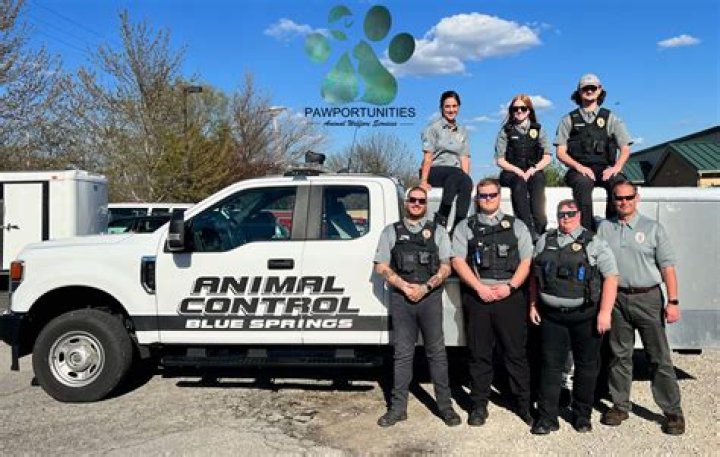 Comprehensive Guide to Animal Control Services in Dallas