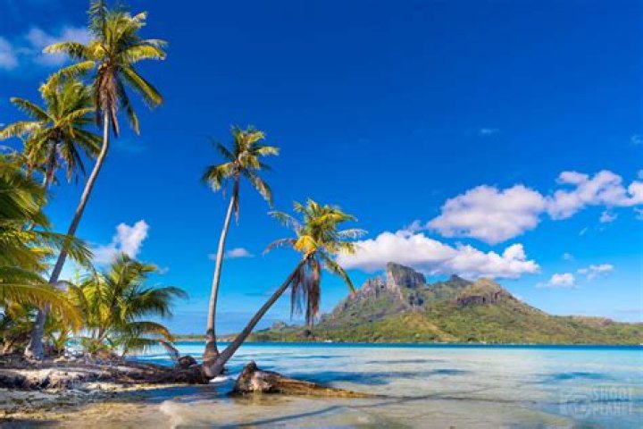 Discover the Ultimate Paradise Excursions for Your Dream Getaway