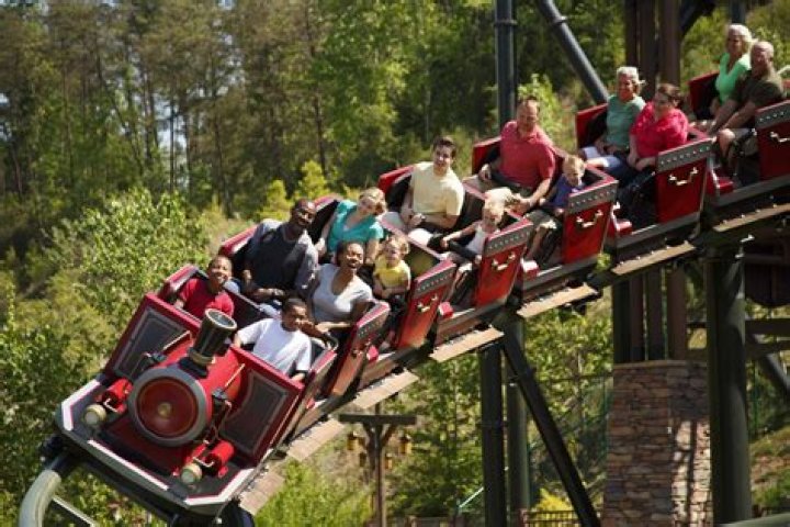 Dolly Wood Amusement Park: A Thrilling Adventure for Every Visitor