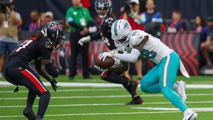 Dolphin Player Hurt Today: The Latest Updates and Insights