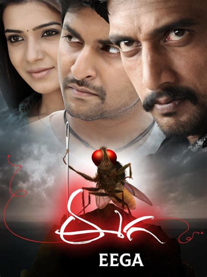 Eega: Fly's Revenge - Story, Cast, & Where to Watch Now!