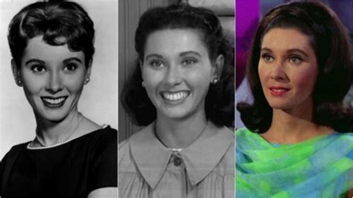 Elinor Donahue Actress: A Comprehensive Look at Her Iconic Career