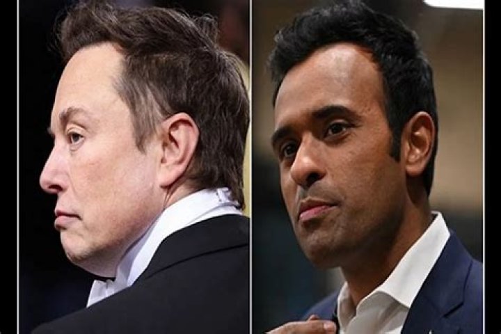 Elon Musk and Vivek Ramaswamy to Doge Targets: A Comprehensive Analysis