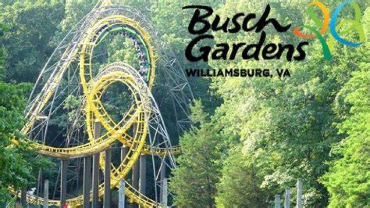 Explore the Thrills of Williamsburg Theme Park Busch Gardens
