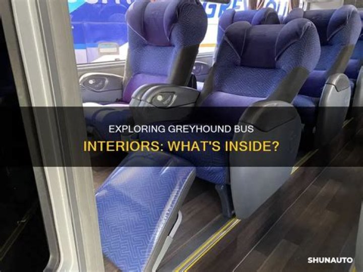Exploring the Comfort and Style of Greyhound Bus Interior