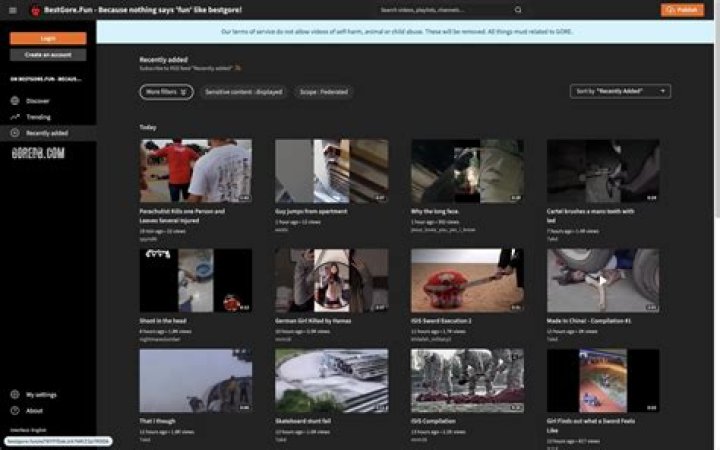 Exploring the Dark Side: Gore & Extreme Content Websites