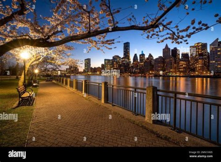 Exploring the East River Promenade: A Journey Through New York's Vibrant Waterfront