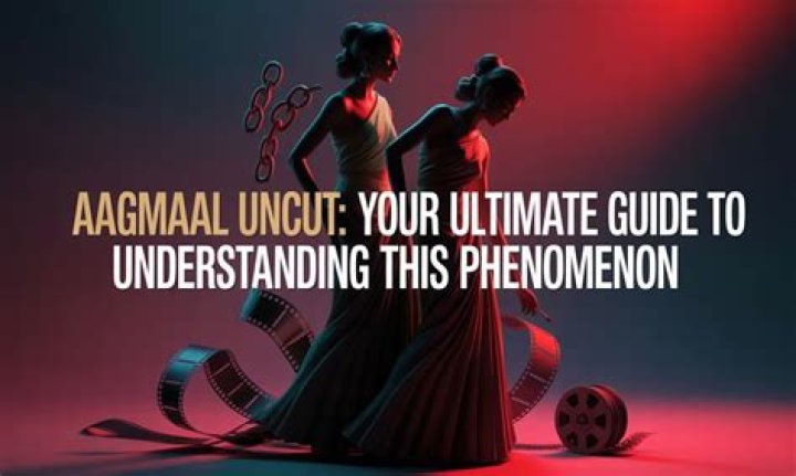 Exploring the World of Aagmaal.cat: A Comprehensive Guide