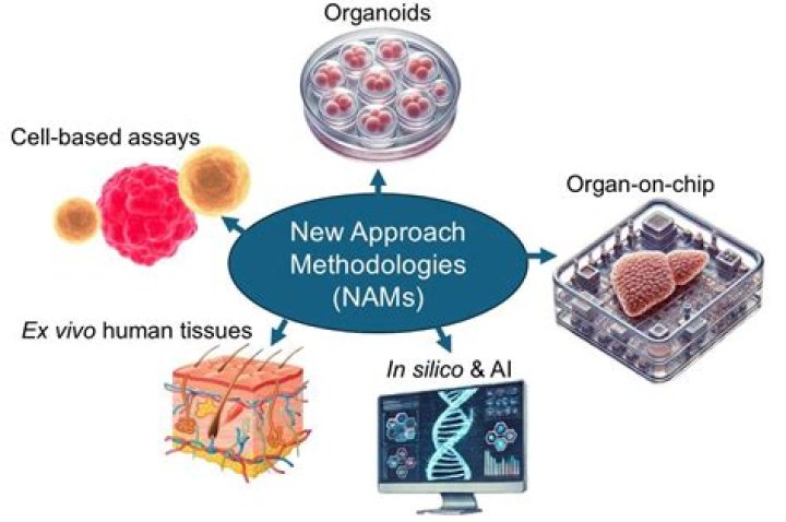 Exploring the World of Nams Providers: A Comprehensive Guide