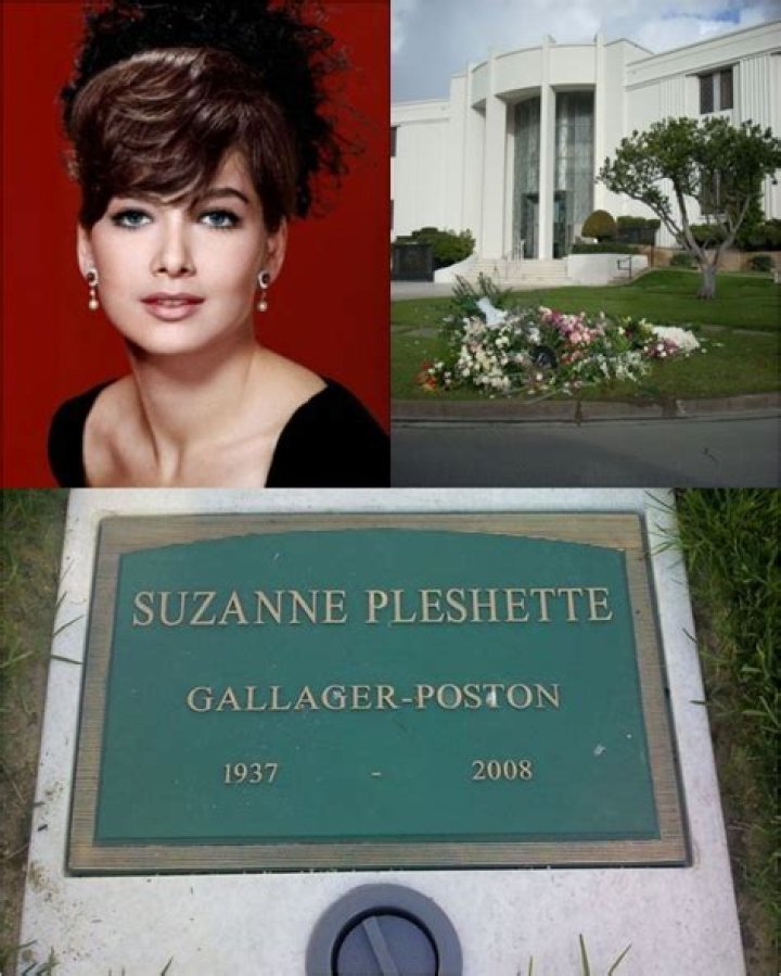 Fascinating Biography of Suzanne Pleshette: A Legacy in Hollywood