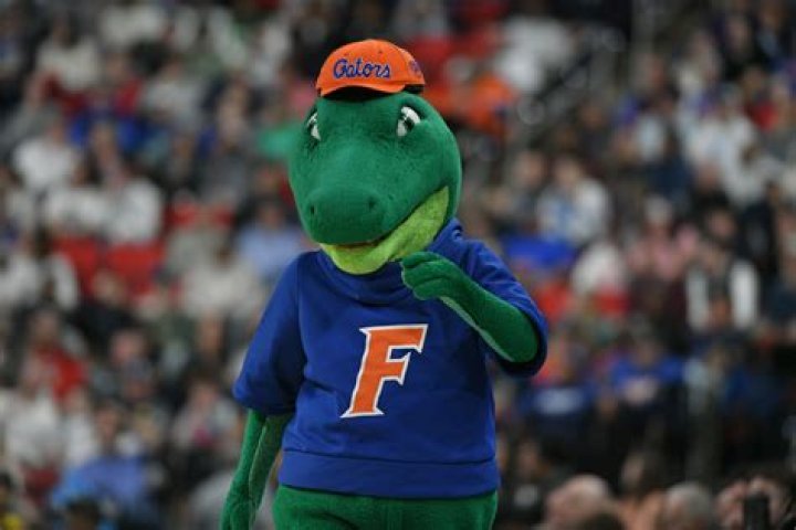 Florida University Basketball: A Comprehensive Guide to the Gators' Triumphs and Achievements
