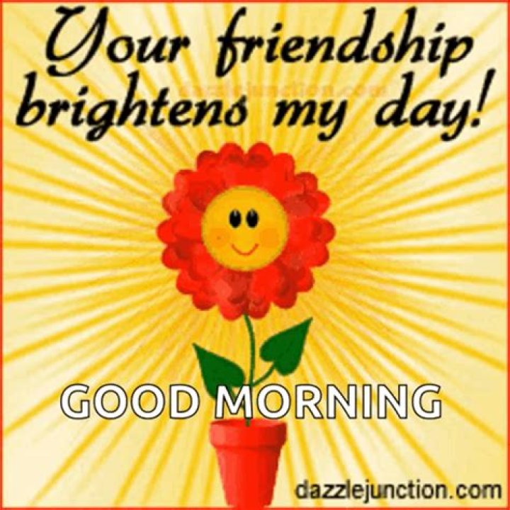 Good Morning Gifs Funny: Brighten Your Day with Laughter
