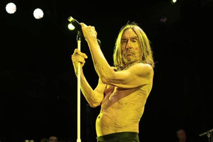 Iggy Pop Net Worth: The Rock Legend's Journey to Success and Financial Empire