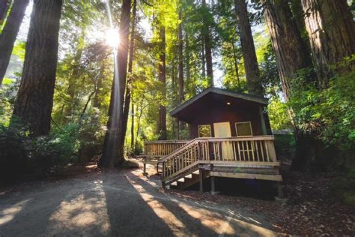 Jedediah Smith Redwood State Park Camping: The Ultimate Guide