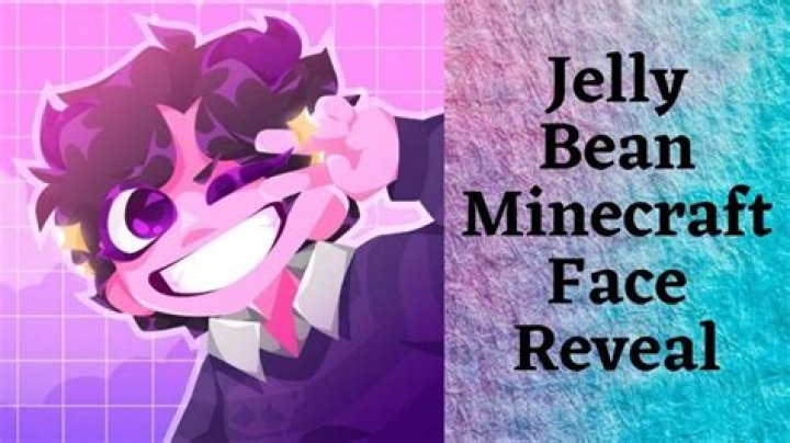 Jellybean.irl: Facts, Minecraft & More About the Internet Star