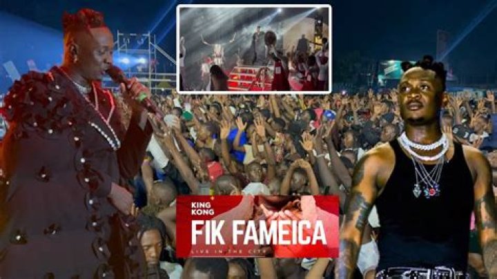 Kendo, Fik Fameica, & More: Your Go-To Guide!