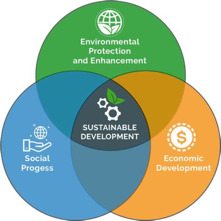 Maximizing Mo Dept Revenue: A Comprehensive Guide for Sustainable Growth