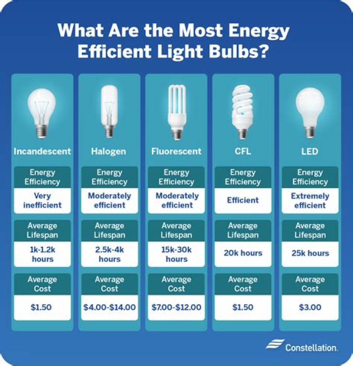 Michigan Bulb Company Website: A Comprehensive Guide to Your One-Stop Shop for Quality Bulbs