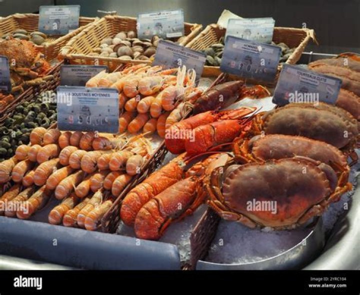 MitchellSeafood Market: Your Ultimate Destination for Fresh and Premium Seafood
