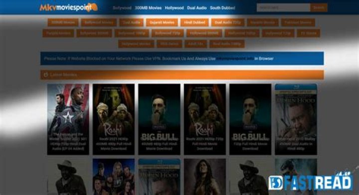 Mkvmoviespoint: Download Movies & TV Shows - [Guide & Alternatives]