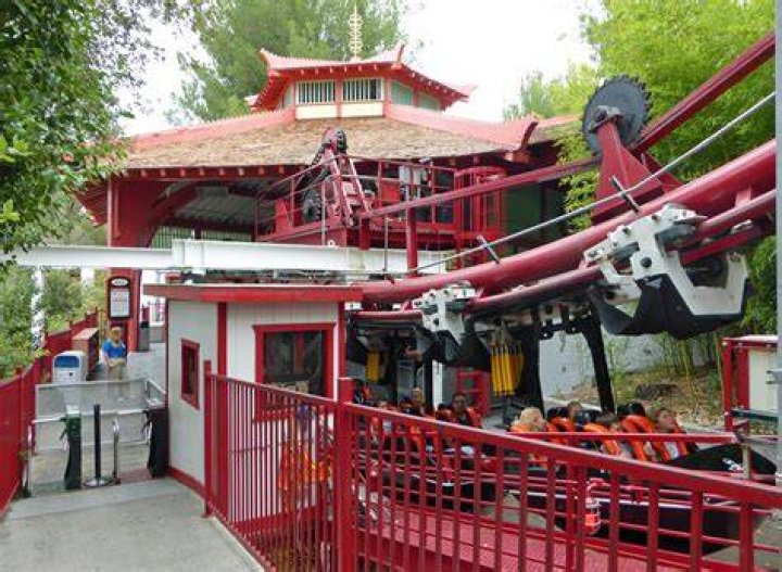 Ninja Roller Coaster at Flags: The Ultimate Thrill Seeker's Guide