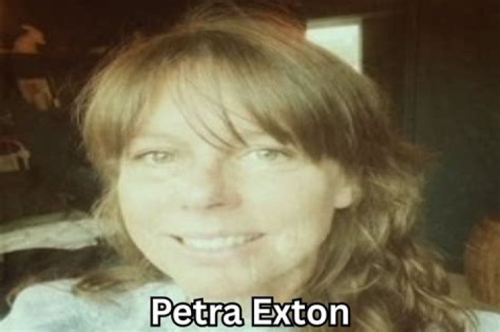 Petra Exton & Joe Wilkinson: Inside Their Life & Career