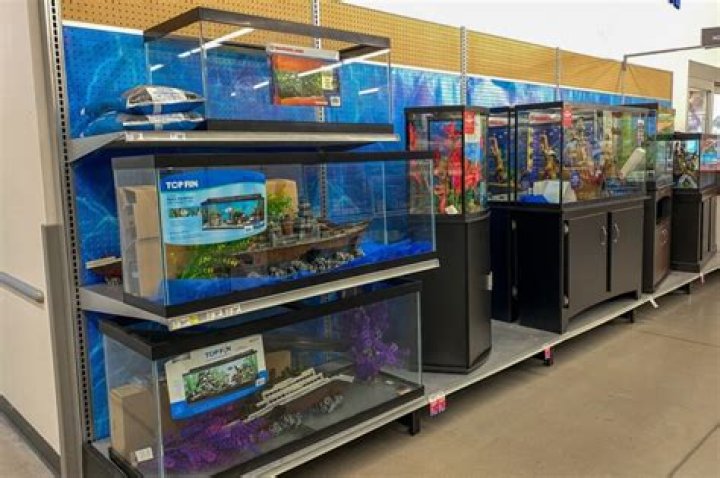 Petsmart Fish Warranty: A Comprehensive Guide to Protect Your Aquatic Pets