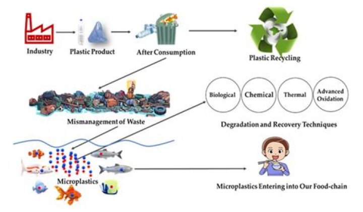 Preventing Aquatic Biomes Degradation: A Comprehensive Guide