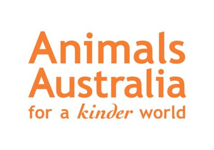 Protectors of Animals Adoption: Champions for a Kinder World