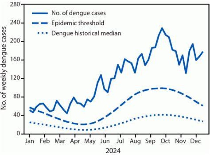 Puerto Rico Dengue Epidemic: Understanding the Crisis and Its Impact