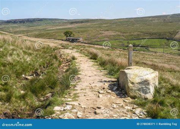 Ravenseat: The Ultimate Guide to Unlocking Its Secrets
