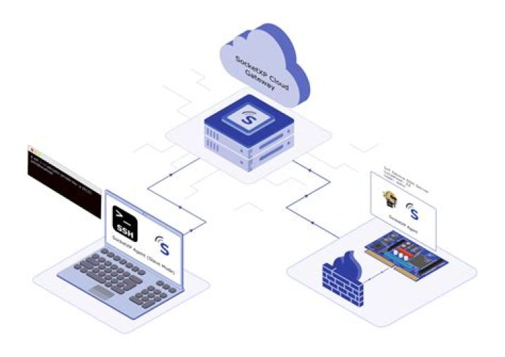 Remote IoT Device Management: Free SSH & Control Platform!