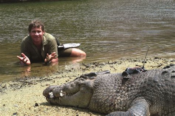 Steve Irwin's Tragic Death: How the Crocodile Hunter Died