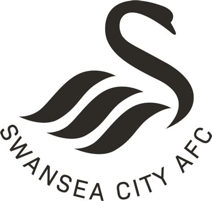 Swansea City Standings: A Comprehensive Guide to Their Performance in the Football League