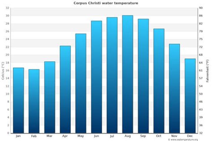 Temperature Corpus Christi TX: A Comprehensive Guide to the City's Climate