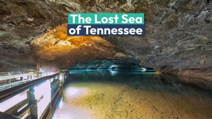 Tenn Aquarium Prices: A Comprehensive Guide to Exploring Tennessee's Underwater Wonders